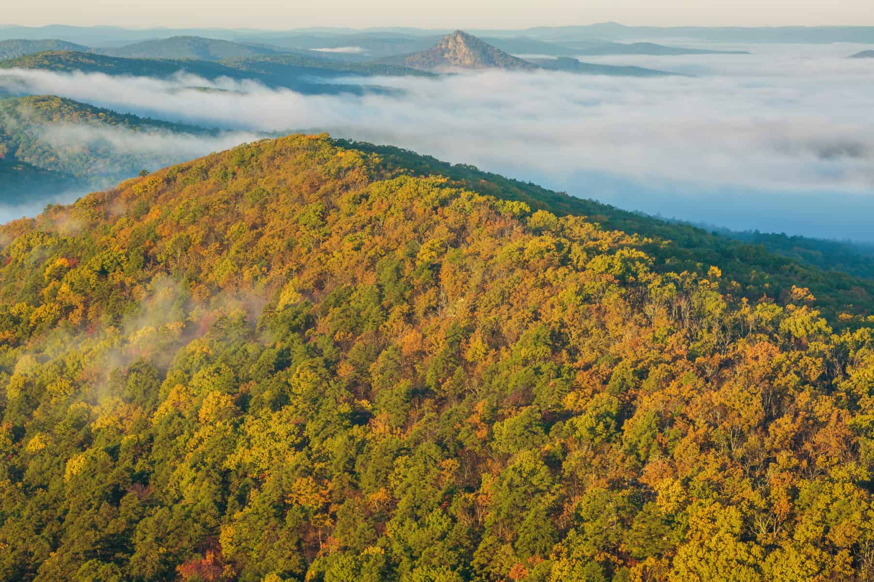 Timber, Trails, and Ouachita Mountain Life 2