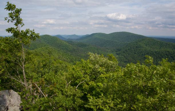 Pair it with the lake, a cabin day, or a slower Mount Ida loop.